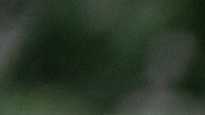 enemigos y amor en el Zodiaco