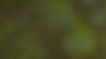 Febrero próspero para 2 signos zodiacales