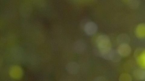 Liberar el estrés es recargarse de energías.