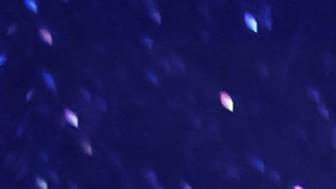 luna llena signos más afectados