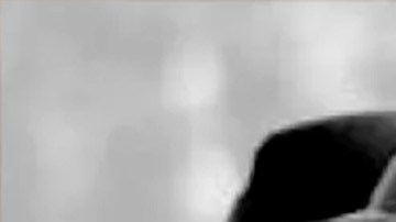 Gina Montes se mantuvo como un ícono de la cultura popular mexicana de los años 70´s y 80´s.