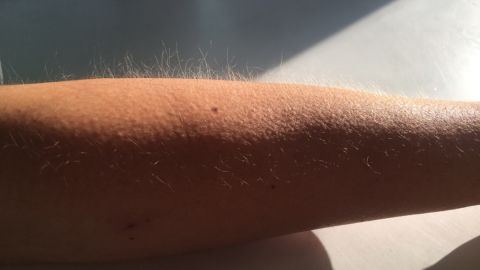 Científicos muestran cómo la música "se siente" en difrentes partes del cuerpo