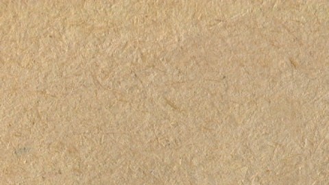 Los nacidos del 19 de febrero al 20 de marzo son Piscis.