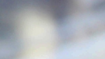 Los Premios Oscar serán hoy domingo 10 de marzo. Hora y TV.