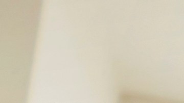 Predicciones del Día de San Valentín