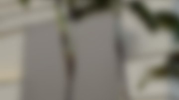 La policía de Westminster busca a los tres sospechosos del robo a mano armada.