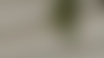 El migrante fue arrestado y el Servicio de Inmigración y Control de Aduanas de Estados Unidos.