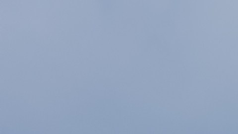 Dos aviones de JetBlue chocaron en la pista de un aeropuerto de Boston: "No se reportaron heridos"
