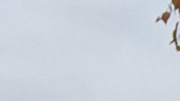 El índice de solicitudes de hipotecas en EE.UU