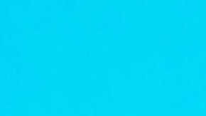 Escuela de Florida expulsó a los hijos de una mujer por promocionar su Onlyfans con una calcomanía en el auto