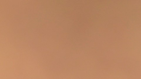 Detuvieron a migrante venezolano en Virginia por agresión sexual a un menor