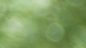 Mujer fue secuestrada por un conductor de Uber y despertó desnuda en un motel de Florida