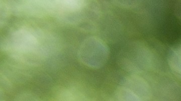 Oficiales de deportación arrestaron en Boston a un migrante condenado por agresión sexual a un niño