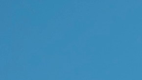 Paracaidista de Arizona falleció en la misma zona donde ocurrió trágico accidente de globo aerostático