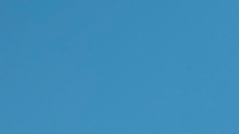 Paracaidista de Arizona falleció en la misma zona donde ocurrió trágico accidente de globo aerostático