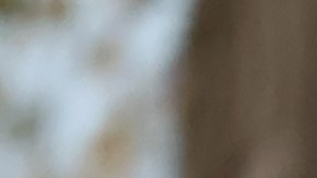 Conductor murió tras estrellar su vehículo contra la sala de urgencias de un hospital en Texas