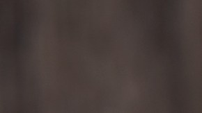 "Oso del amor por la seguridad": el curioso operativo de la policía de Perú para detener a criminales en San Valentín