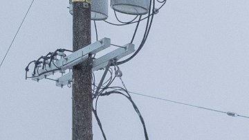Trabajadores del Departamento de Agua y Energía (LADWP) arreglan un bache.