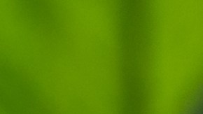 La adaptación a un trabajo puede variar de persona en persona.