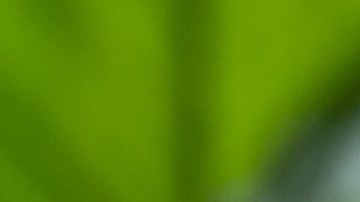 La adaptación a un trabajo puede variar de persona en persona.