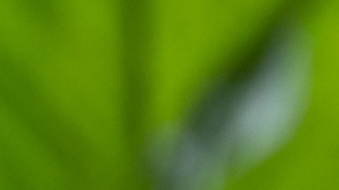 La adaptación a un trabajo puede variar de persona en persona.