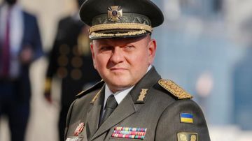 Zelenski destituye a Zaluzhni, jefe del Ejército de Ucrania