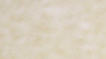 Yuri | Foto: Mezcalent