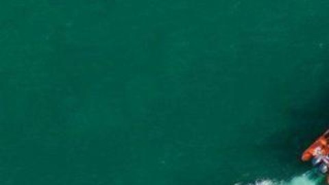 En total, la ONG del chef José Andrés transportó 200 toneladas de alimentos.