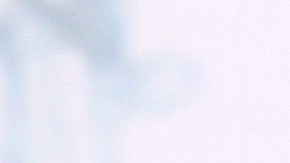 Danna Paola | Mezcalent