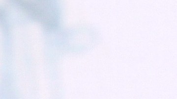 Danna Paola | Mezcalent