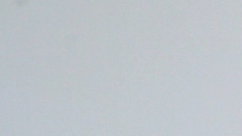 Ana Bárbara | Foto: Mezcalent