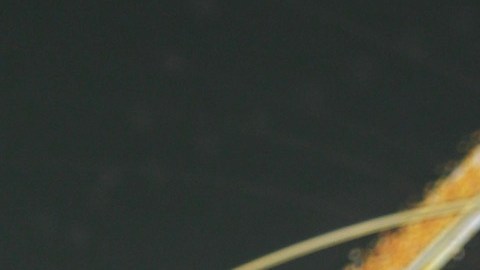 Galilea Montijo revela detalles de una relación tóxica del pasado: “Me amenazó si lo dejaba”