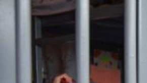 La hermana Ann Gertrude es la más joven de esta orden formada por mujeres maduras.