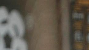 MEX2743. CIUDAD DE MÉXICO (MÉXICO), 24/03/2024.- Jugadores de los Diablos Rojos celebran una carrera anotada a los Yankees durante un juego amistoso entre los Yankees de Nueva York y Diablos Rojos del México este domingo, en el estadio Alfredo Harp Helú en la Ciudad de México. (México). EFE/Isaac Esquivel