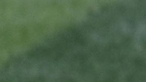 El conjunto mexicano se llevó los dos compromisos de exhibición.