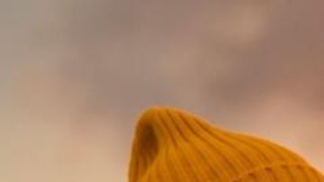 Las islandesas son las mujeres que gozan de mayor igualdad de derechos con respecto a los hombres del mundo.