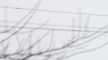 Un choque de buque en China marcó el antecedente del accidente en puente de Baltimore