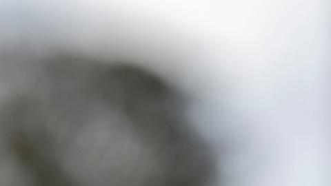 China presenta artefacto que vuela "batiendo sus alas"