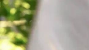 Boluarte denuncia “ataque y acoso sistemático” en su contra