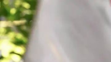 Boluarte denuncia “ataque y acoso sistemático” en su contra