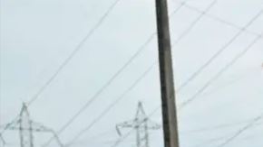 Ecuador: narcos asesinan a cinco turistas "por error"