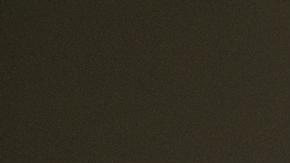 Los legisladores estadounidenses temen que TikTok pueda utilizarse para subvertir las próximas elecciones presidenciales.