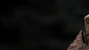 El presidente Volodímir Zelensky participa en las celebraciones del 10mo. aniversario de la Guardia Nacional de Ucrania.