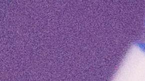 Nikki Haley logra su primera victoria frente a Trump en las primarias y gana Washington DC