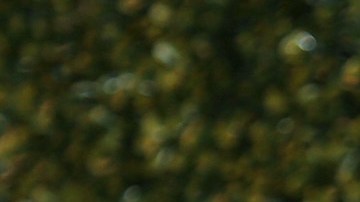 Geraldine Bazán | Foto: Mezcalent