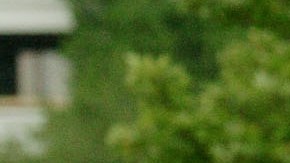 Los cambios dan la opción de elegir varias categorías al mismo tiempo, como “blanco”, “indio americano” e “hispano”.