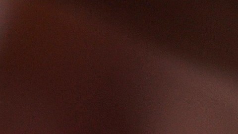 El voto latino enfrenta retos este año.