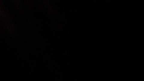 People light candles during a commemoration ceremony for victims of the 1932-33 Great Famine in Kiev, Ukraine, Saturday, Nov. 26, 2011. Church bells tolled, candles flickered and national flags, adorned with black ribbons, flew in the Ukrainian capital Kiev Saturday as the country marked the anniversary of the start of a Soviet-era famine that killed millions. (AP Photo/Efrem Lukatsky)