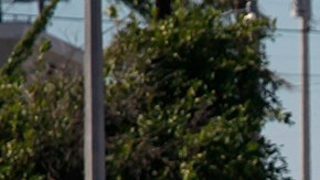 Violencia en México