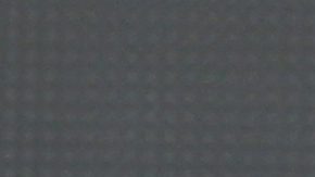 Julio César Chávez Jr.